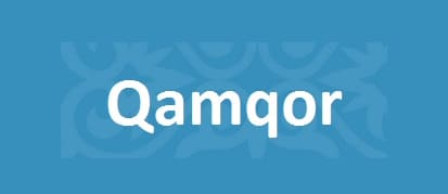 Qamqor.Gov.kz – информационный сервис КПСиСУ ГП РК